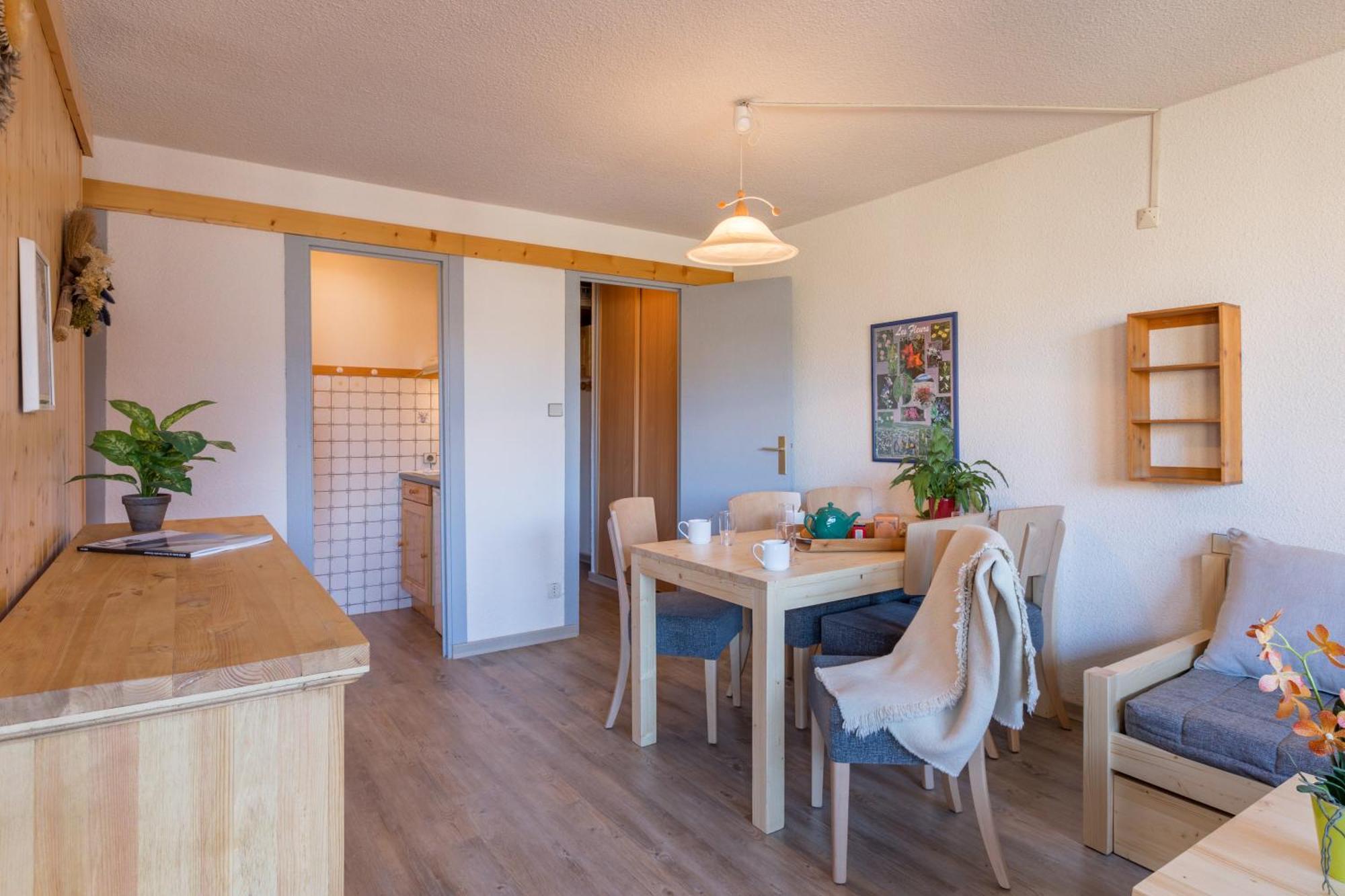 Les Melezes Apartman Saint-Chaffrey Kültér fotó